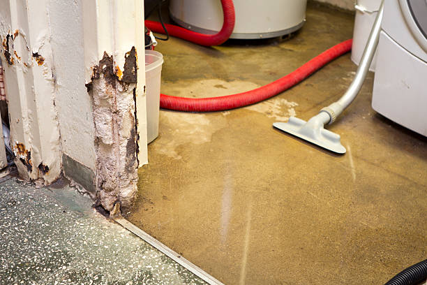 emergency water damage repair company Baton Rouge, Louisiana