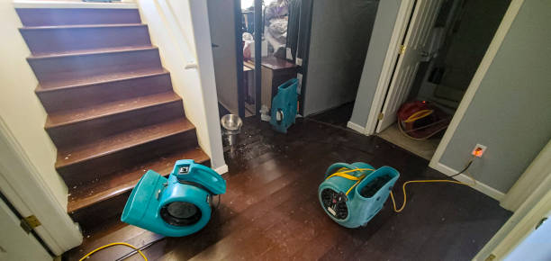 water damage cleanup Baton Rouge, Louisiana